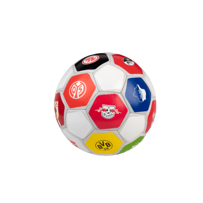 Derbystar Bundesliga Clublogo Pro Special Edition Fussball Fanball Größe 5 