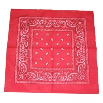 Paisley - Bandana