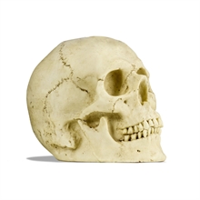 Deko Skull mit LED-Licht