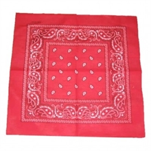 Paisley - Bandana